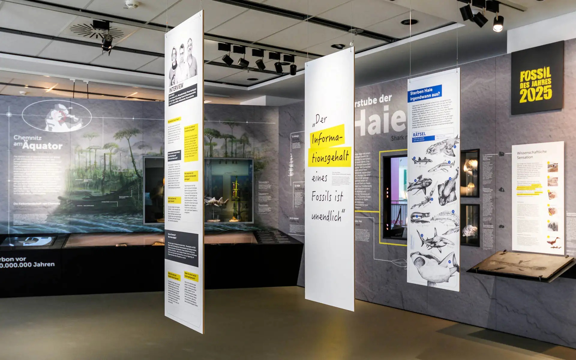 Ausstellungsraum mit Hängepanelen und Wandtafeln zu Haien