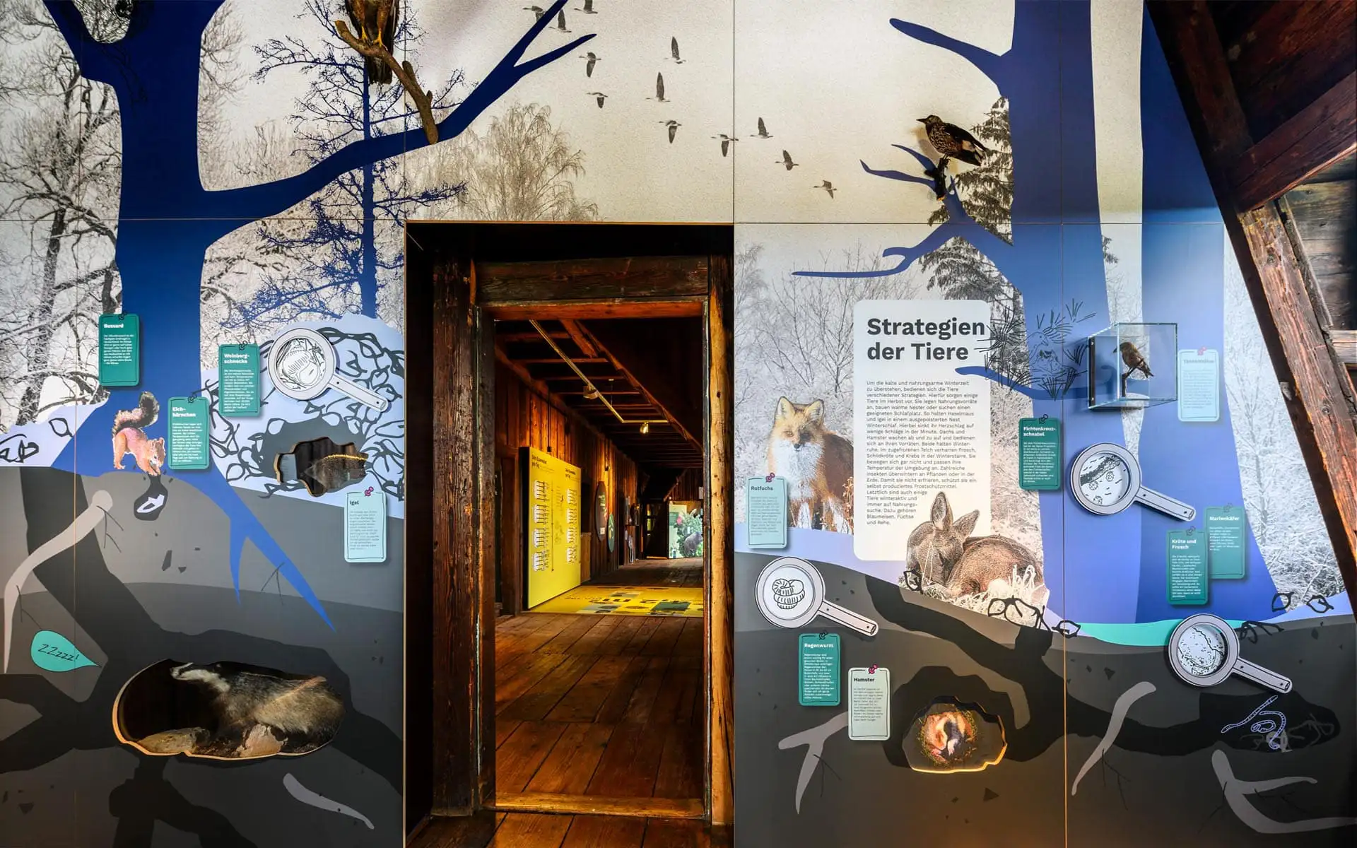 Ausstellungswand 'Strategien der Tiere' mit Blick durch eine offene Tür in den nächsten Raum