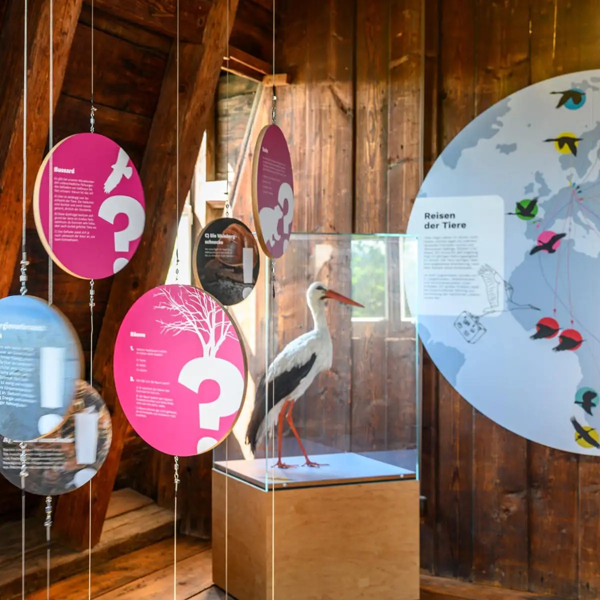 Storch in Glaskasten, daneben hängende runde Informationstafeln