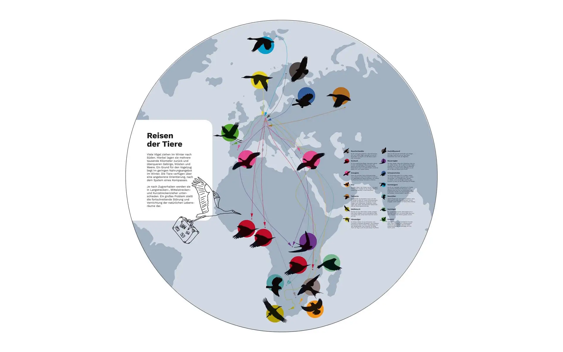 Ausstellungsgrafik zu Tierstrategien im Winter mit Fuchs, Reh und Insekten.